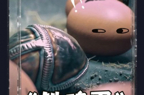 鸡蛋搞笑动画片,爆笑动画喜剧之旅