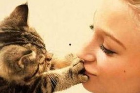 亲猫咪图片,捕捉镜头下的可爱瞬间”